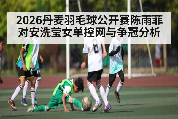 2026丹麦羽毛球公开赛陈雨菲对安洗莹女单控网与争冠分析