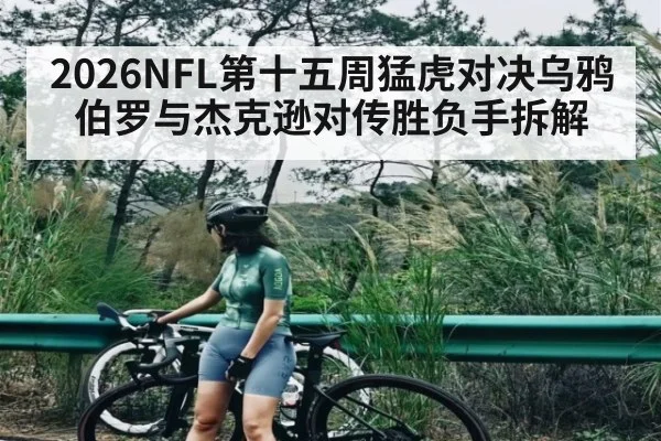 2026NFL第十五周猛虎对决乌鸦伯罗与杰克逊对传胜负手拆解