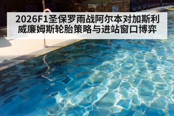 2026F1圣保罗雨战阿尔本对加斯利威廉姆斯轮胎策略与进站窗口博弈
